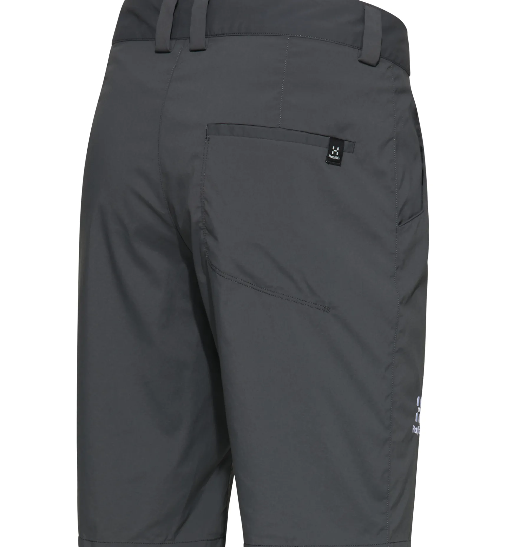 Lite Standard Shorts Men