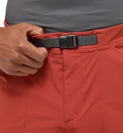 Lizard Softshell Shorts Men