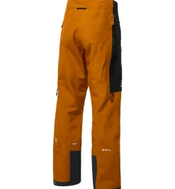Vassi GTX Pant Men